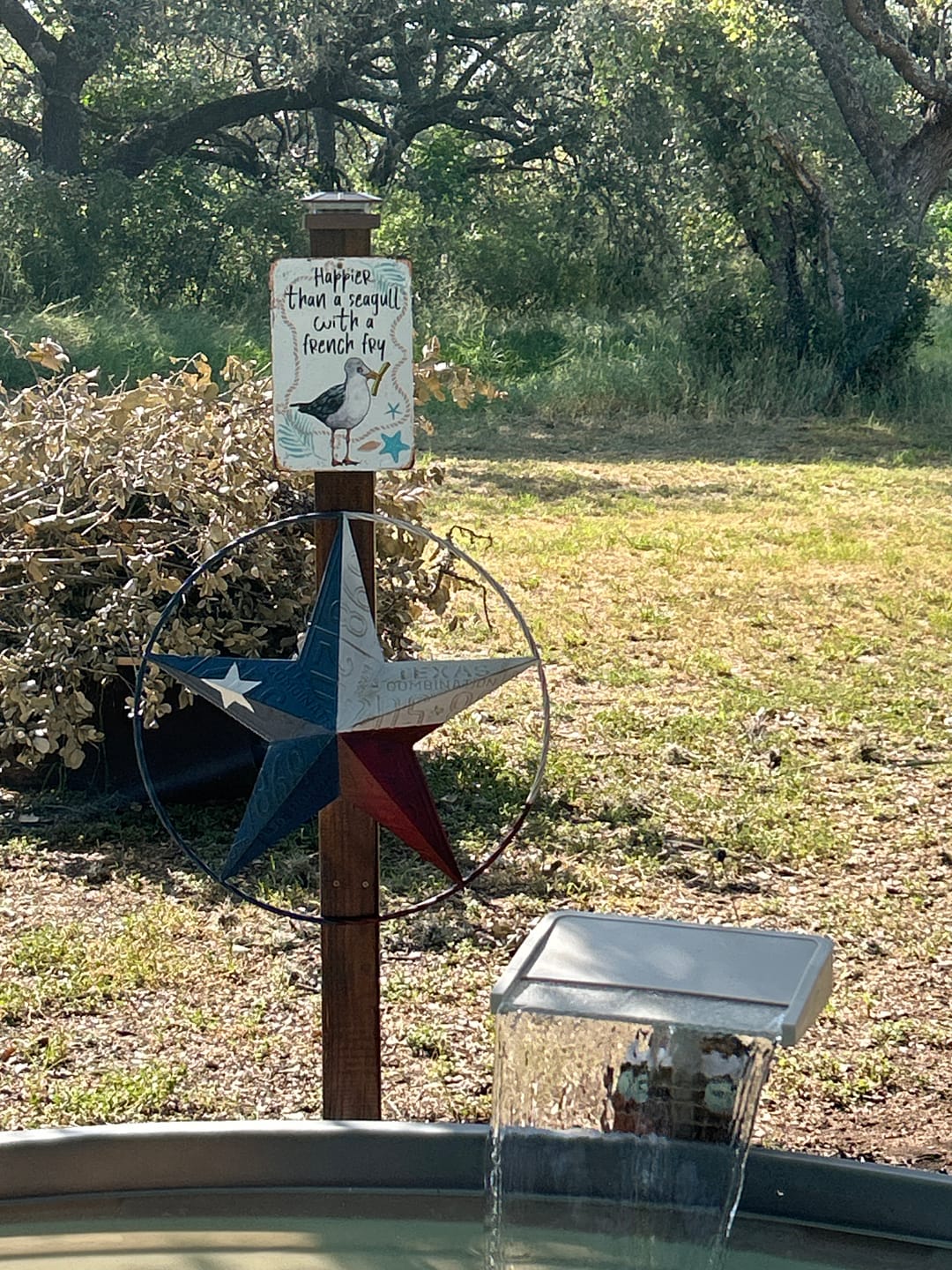 Customer photo review of Seagull with French Fry - Metal Sign