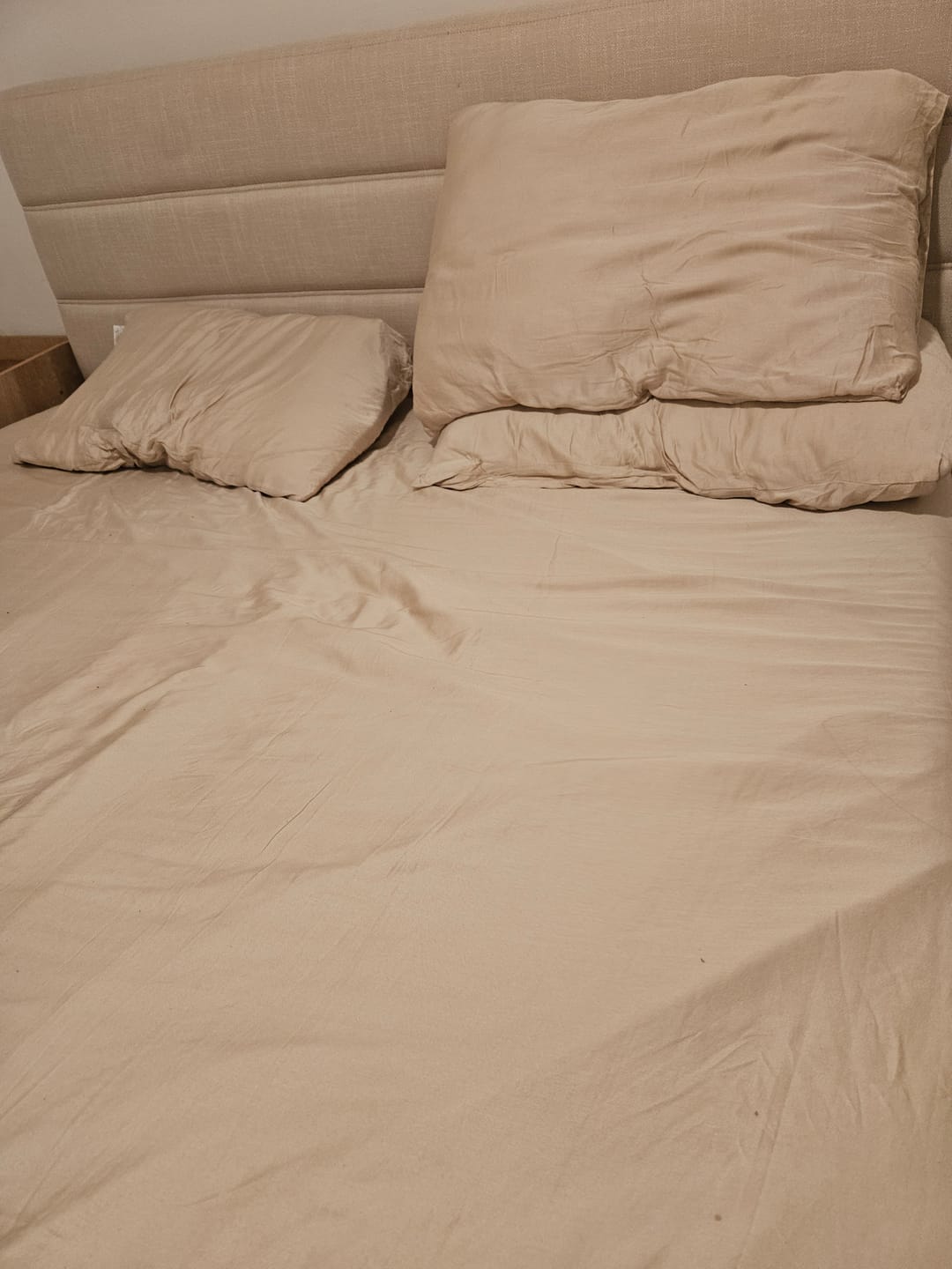 Customer photo review of זוג ציפיות פרימיום במבוק 300 - OFFWHITE