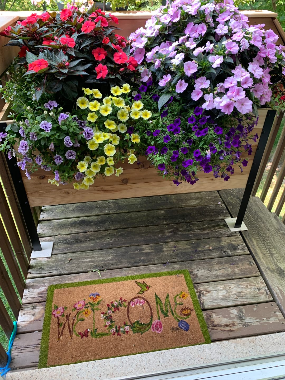 Customer photo review of Anniversary Sale | 18” x 48” Raised Garden Bed