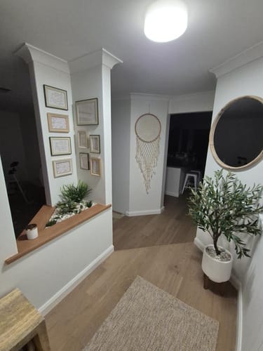Customer's James Round Mirror with wood frame hanging on a wall near an olive tree in a bright home interior.