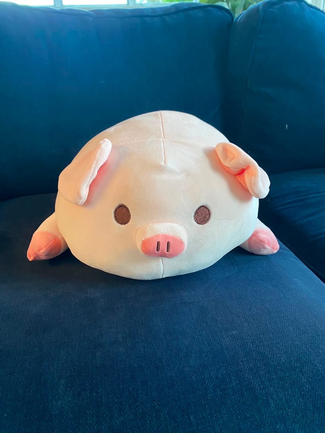 Customer photo review of Squishy Pig Pillow
