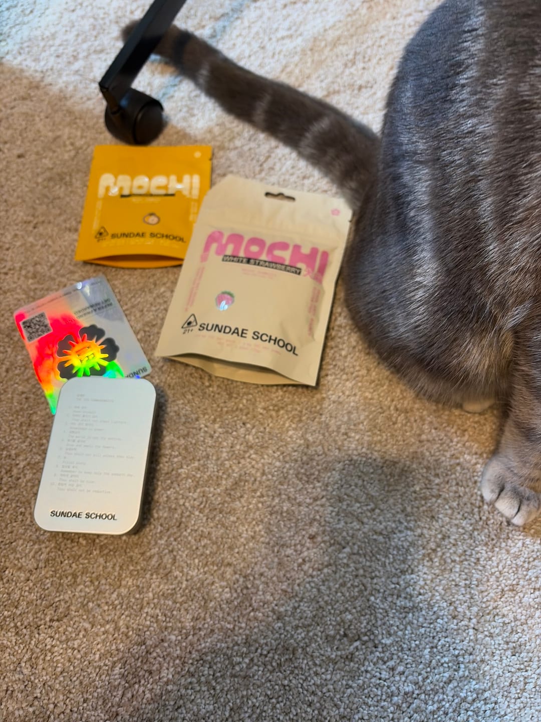 Customer photo review of Mochi Discovery Pack