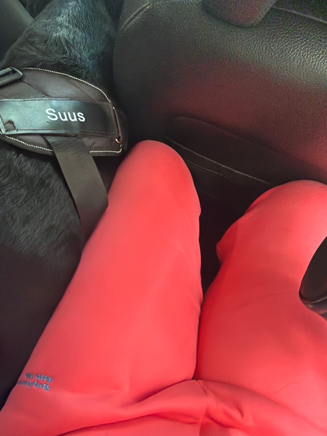 Customer photo review of GRADIENT LOGO SWEATER CORAL