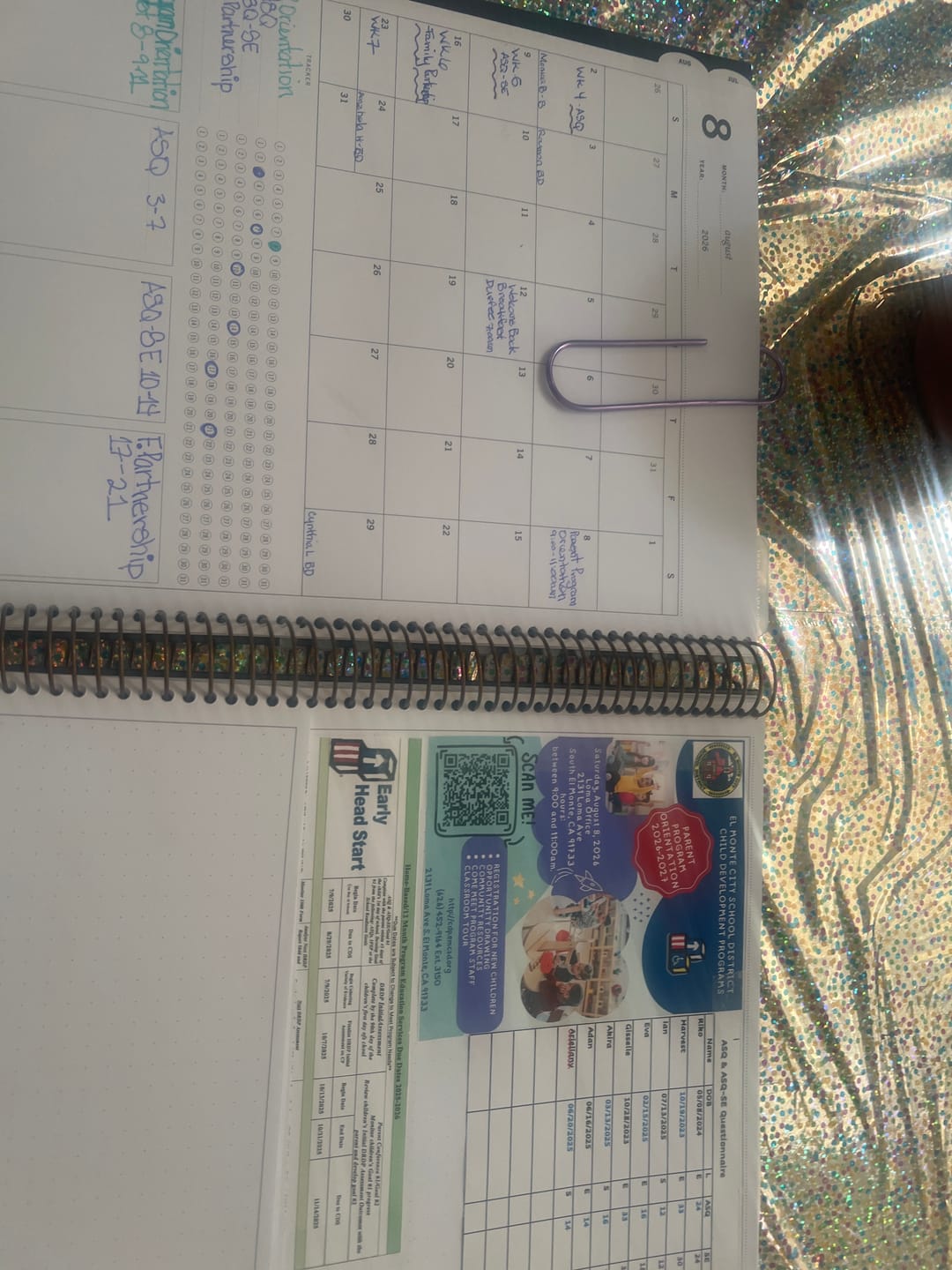 Customer photo review of Academic 2026–2027 | The Luna Planner | Roots & Rain