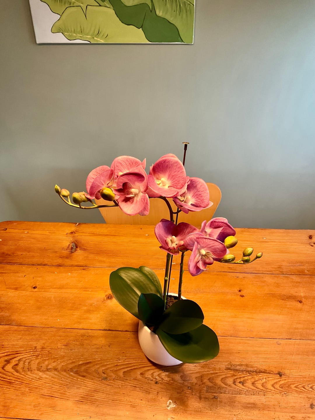 Customer photo review of Elegant Real Touch Double Stem Pink Potted Orchid in Round White Ceramic Pot (46cm) - A1179