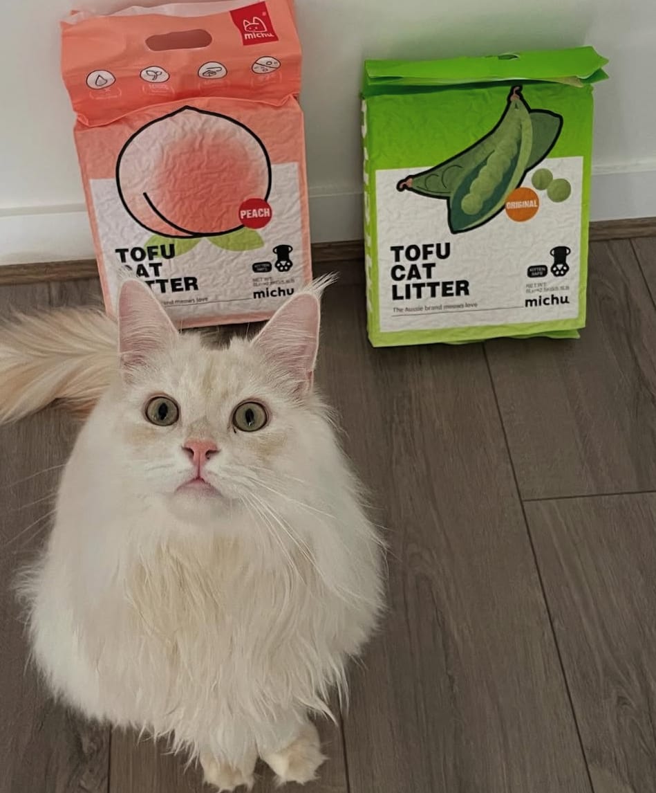 Customer photo review of MICHU Tofu Cat Litter Gen3 6L