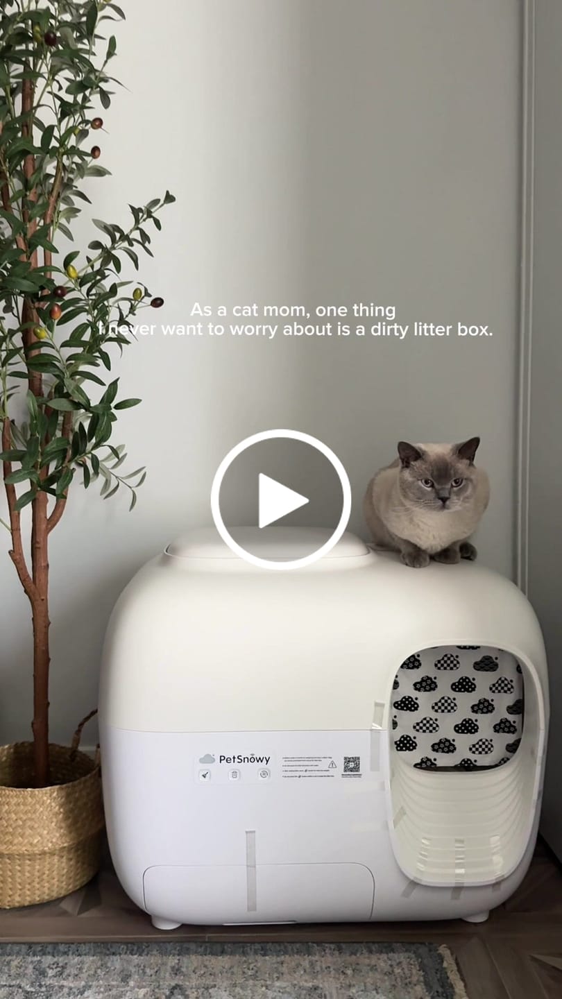 Customer video review of Self-Cleaning Litter Box