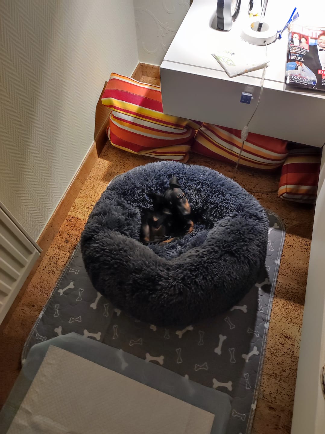 Customer photo review of Puppery Hundebett Wolke 7 - Das Original
