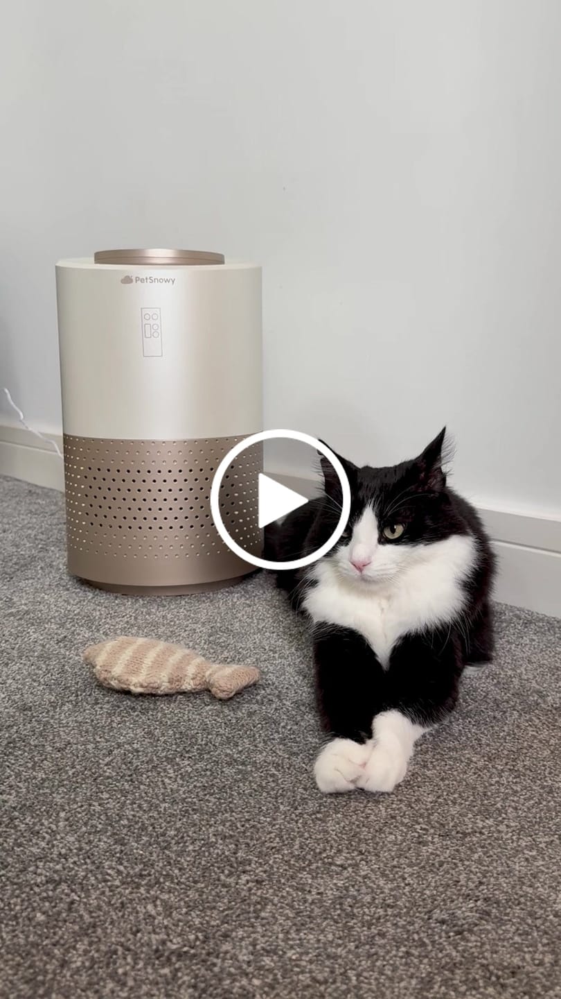Customer video review of Pet Air Purifier