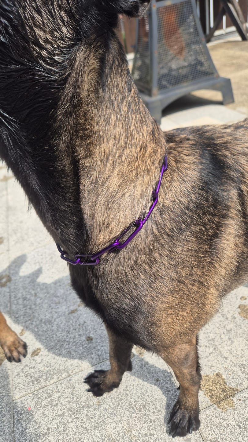 Customer photo review of Langgliedrige Eastside Chain