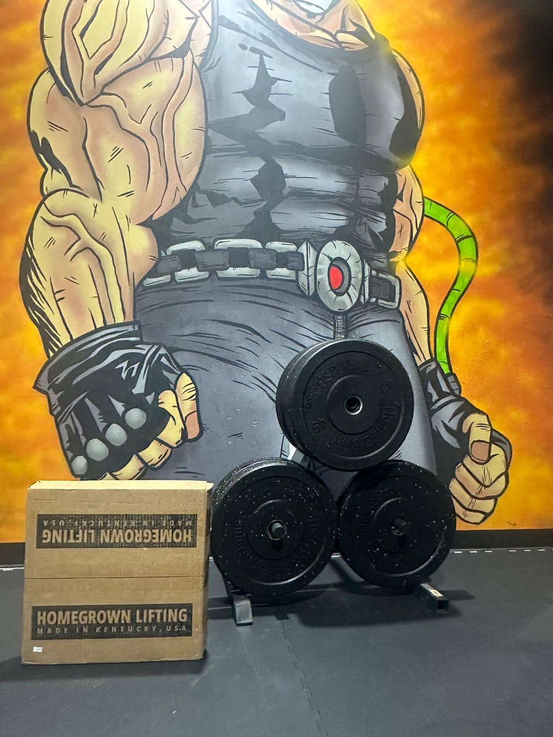 Customer photo review of URA-MAX COLORED Bumper Plate Sets