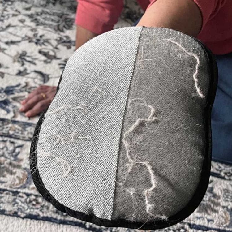Customer photo review of Sausage Glove | Effortlessly Remove Dachshund Hair