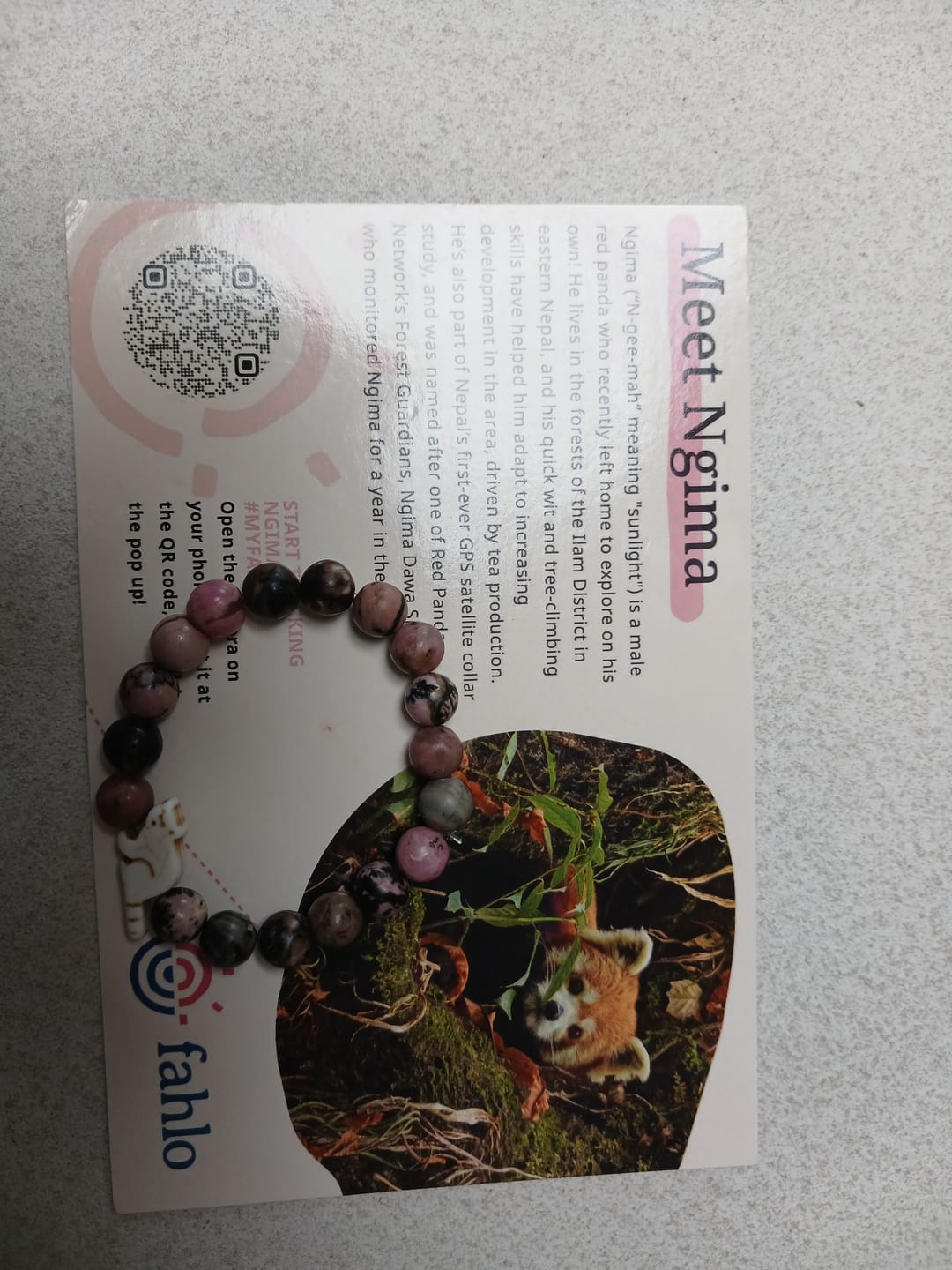 Customer photo review of The Dash Bracelet