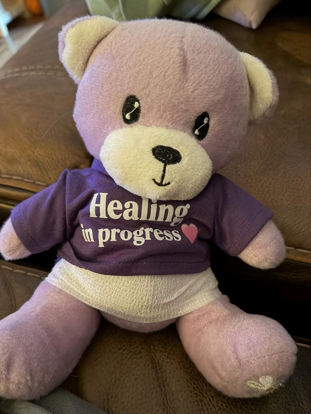Customer photo review of Custom Stuffed Animal T-Shirt, Personalized Plushie Clothing (Fits 8 Inch)