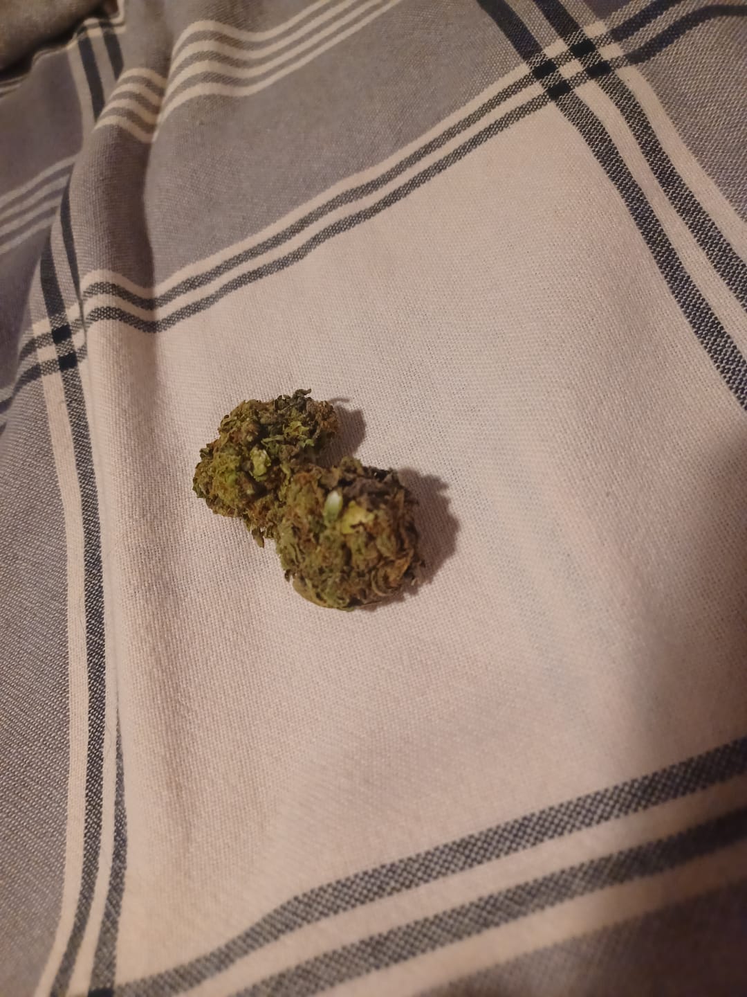 Customer photo review of Good Day - 14 Grams - Platinum Bubba - Indica