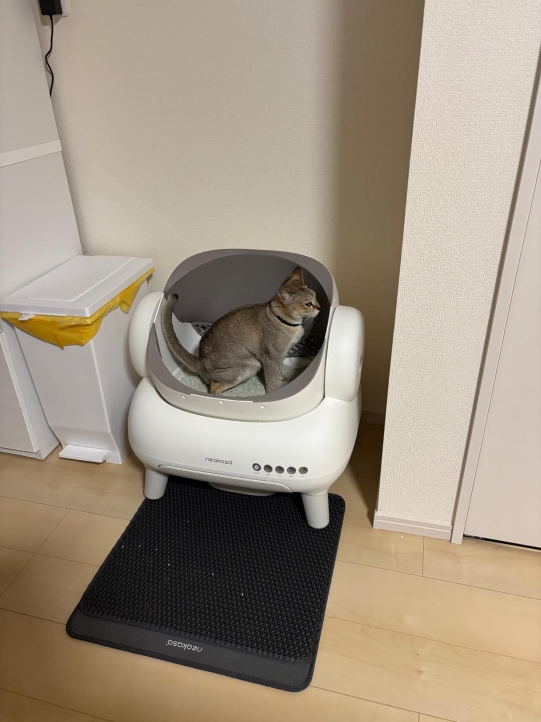Customer photo review of Neakasa M1 Plus オープン型全自動猫トイレ