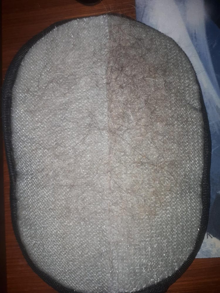 Customer photo review of Sausage Glove | Effortlessly Remove Dachshund Hair