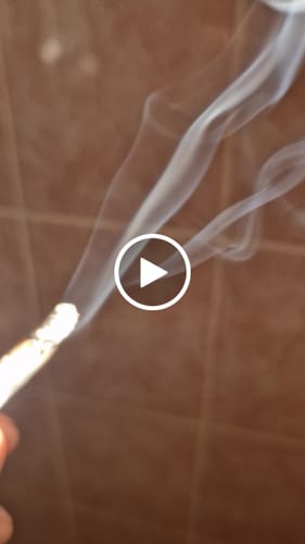 Customer video review of THC-A 25% Flower Cali Supreme