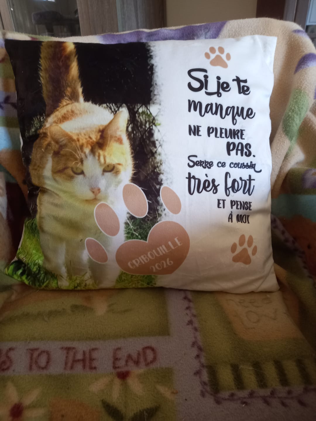 Customer photo review of Si je te manque - Coussin personnalisé