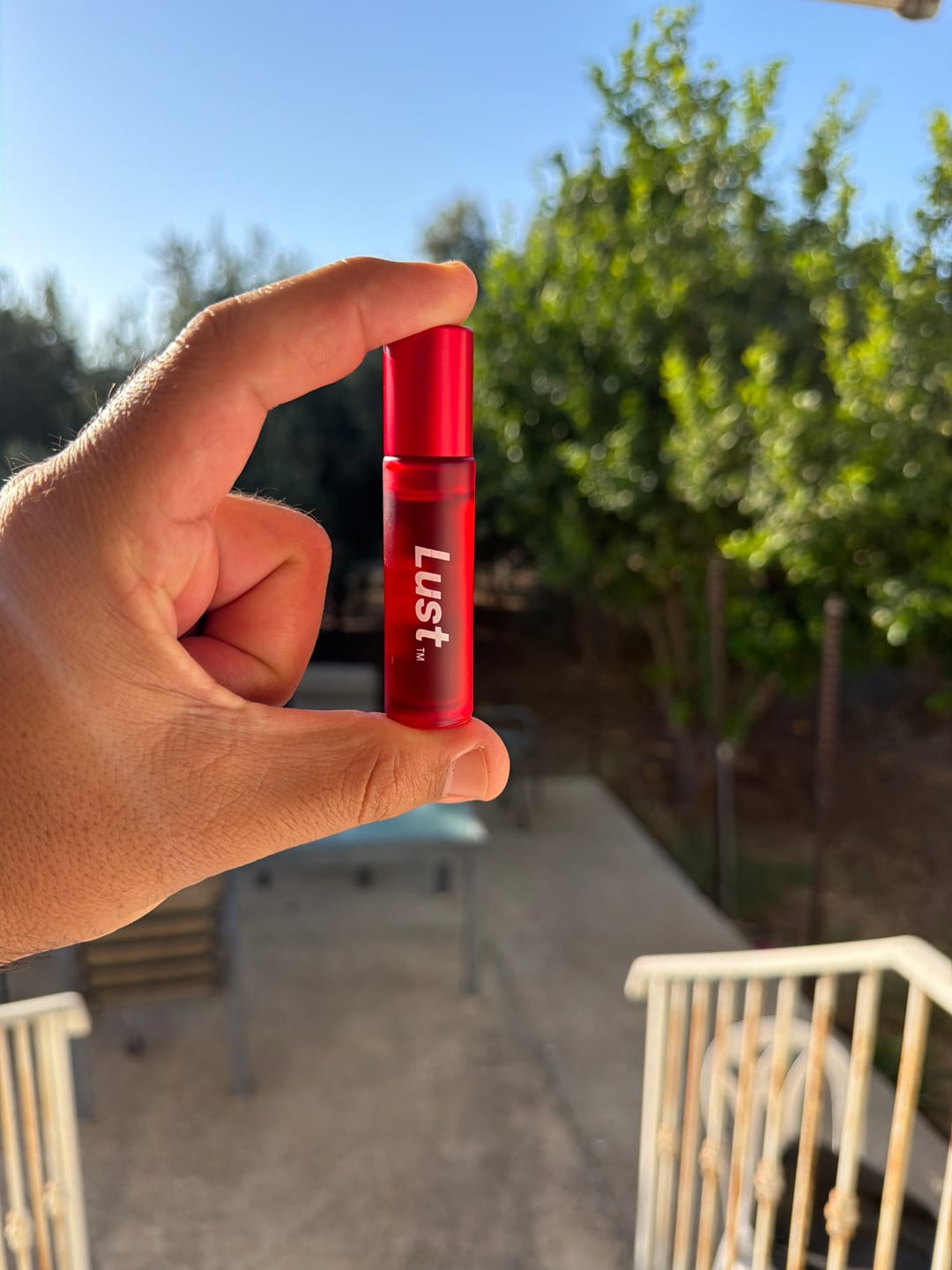 Customer photo review of Lust for him