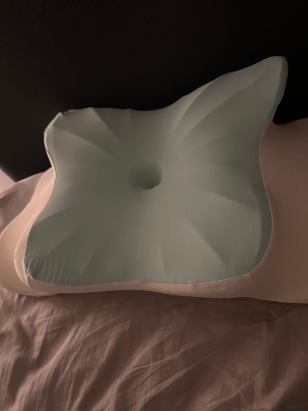 Customer photo review of Sleepsake Butterfly Pillow