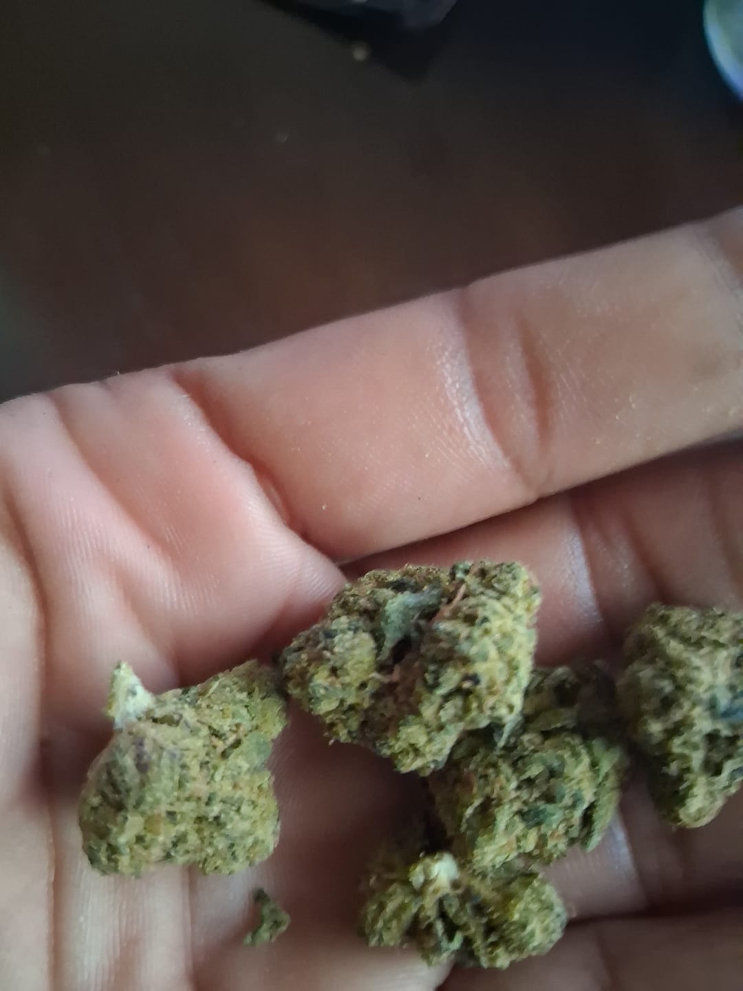 Customer photo review of Biscotti Cake - 28 Grams - Hybrid