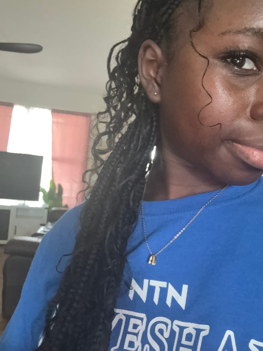 Customer photo review of Water Wave Bulk Hair Extensions for Boho Knotless Braiding