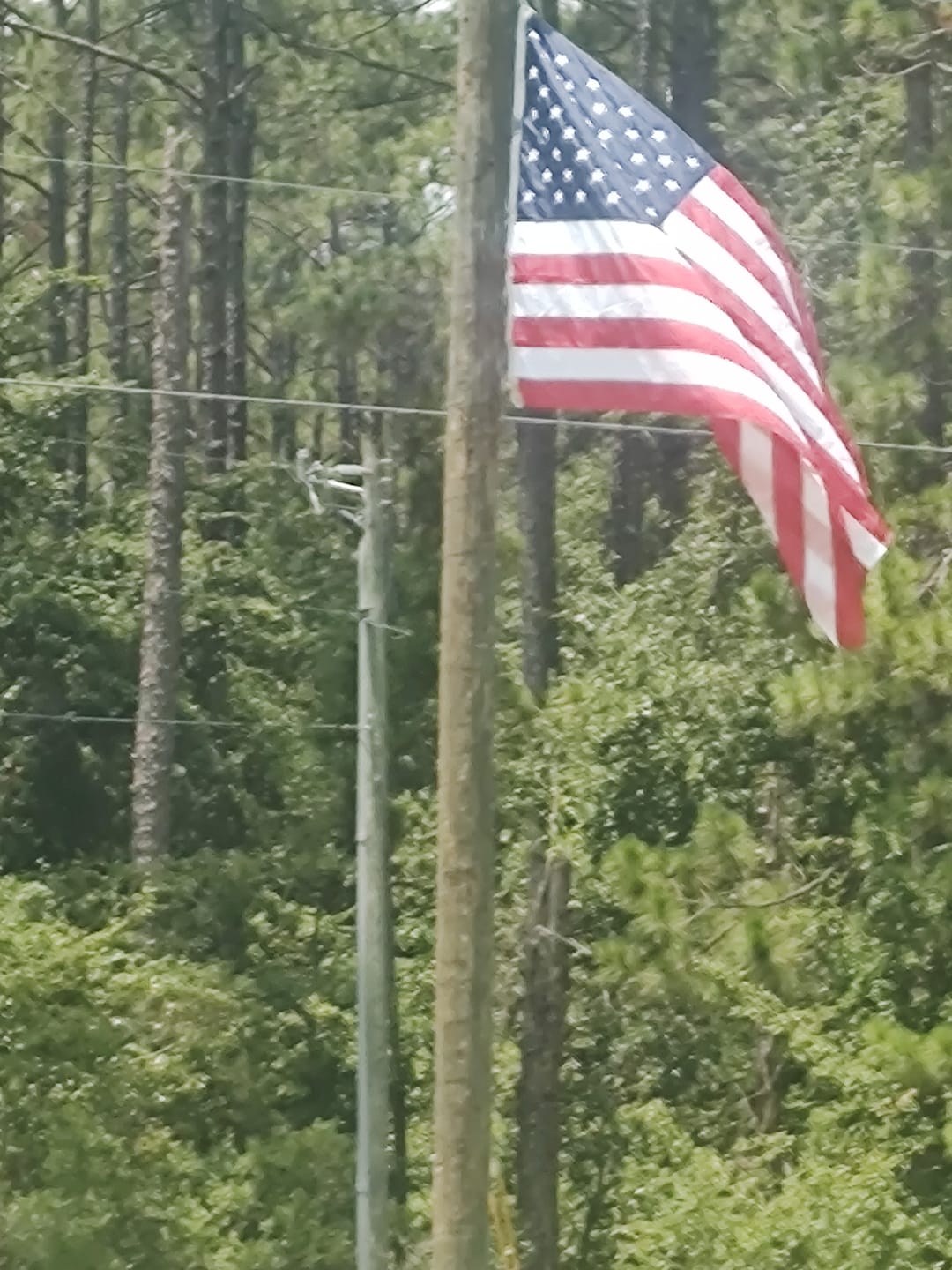 Customer photo review of 5' x 8' American Flag