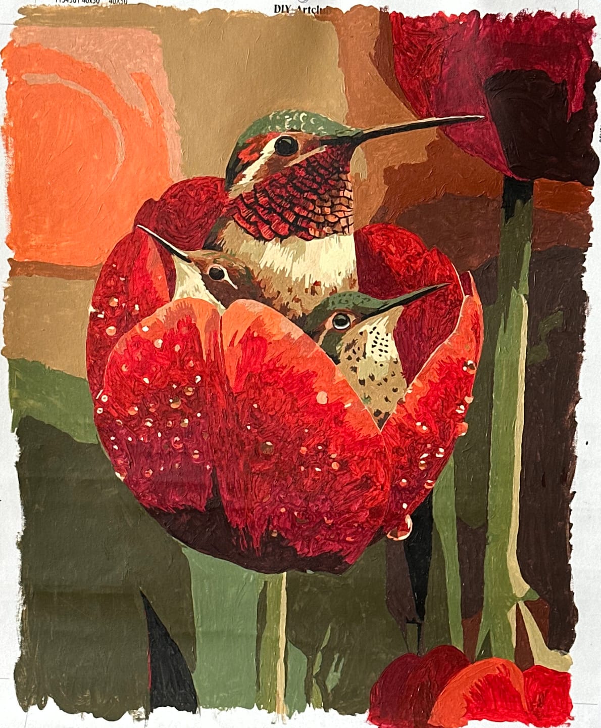 Customer photo review of Hummingbird Family | Paint by Number