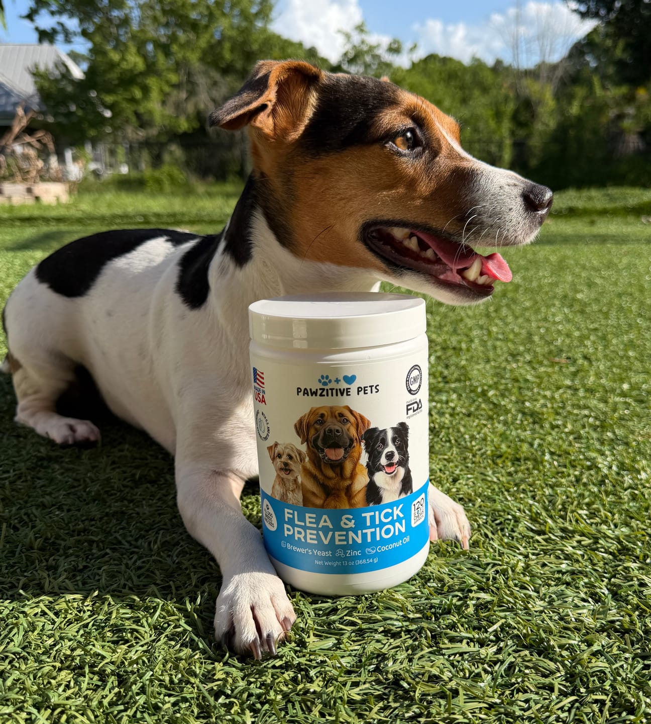 Customer photo review of Flea and Tick Prevention for Dogs – 120 Soft Chews