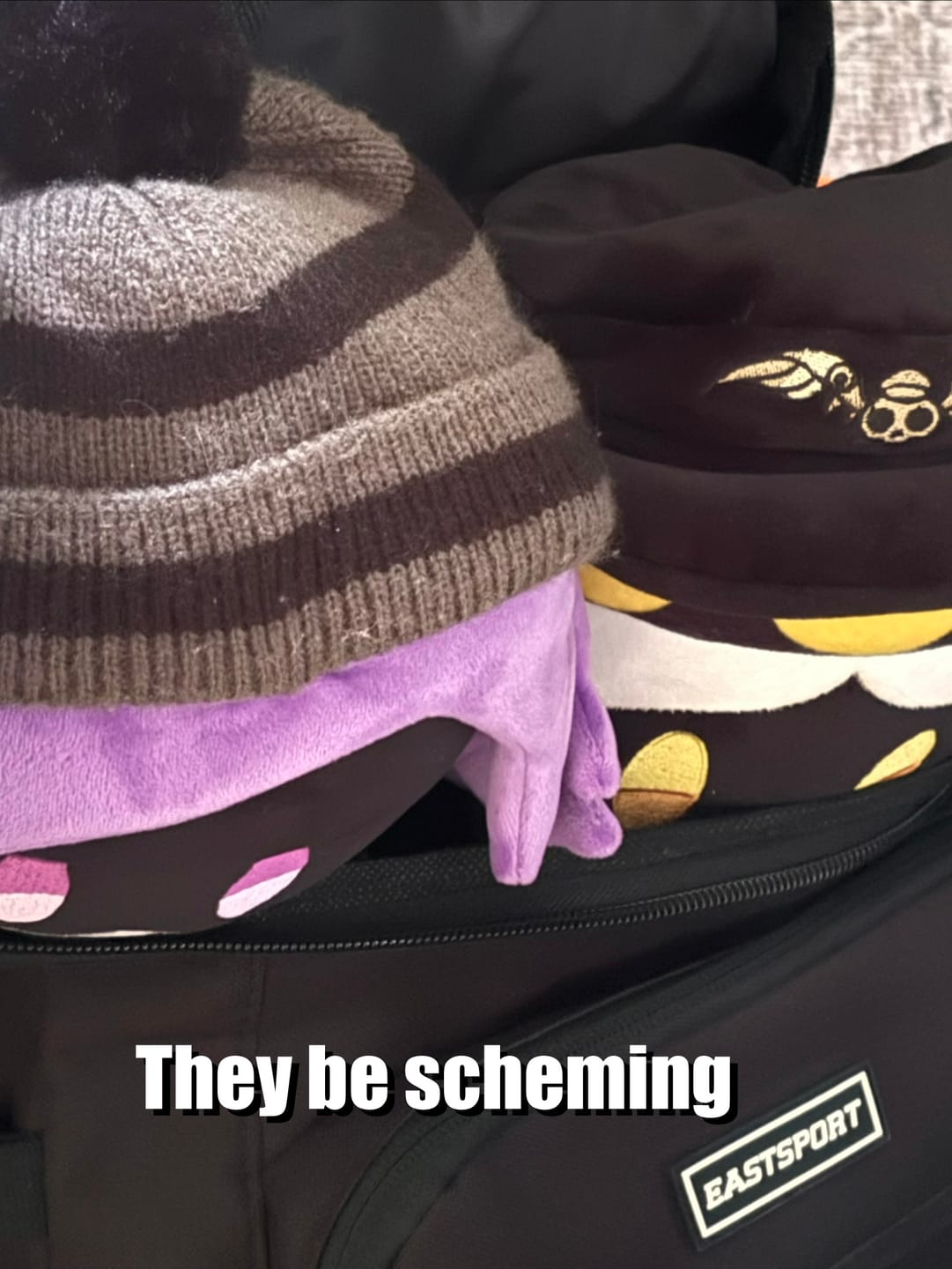 Customer photo review of N Plush