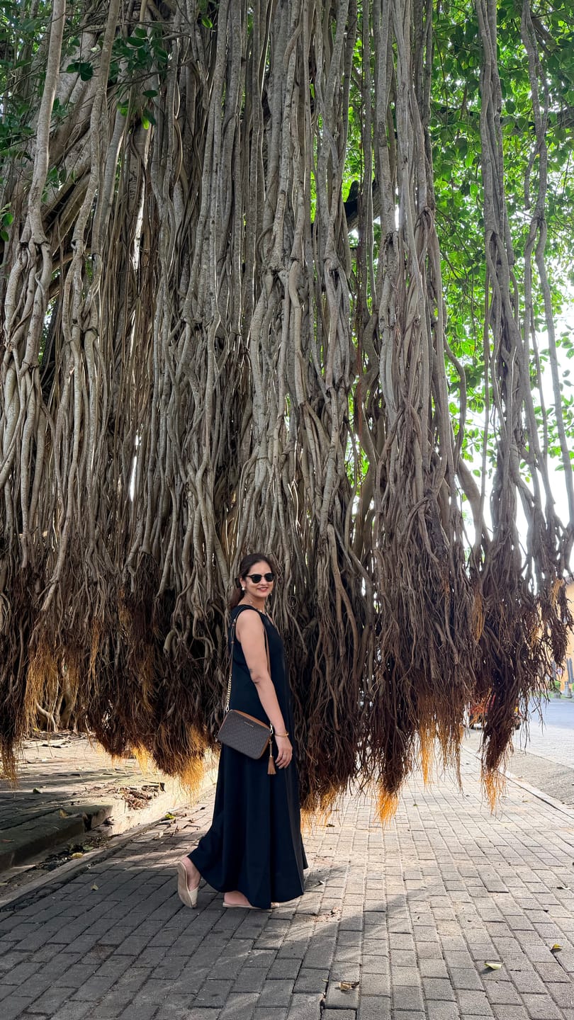 Customer photo review of siena — dress
