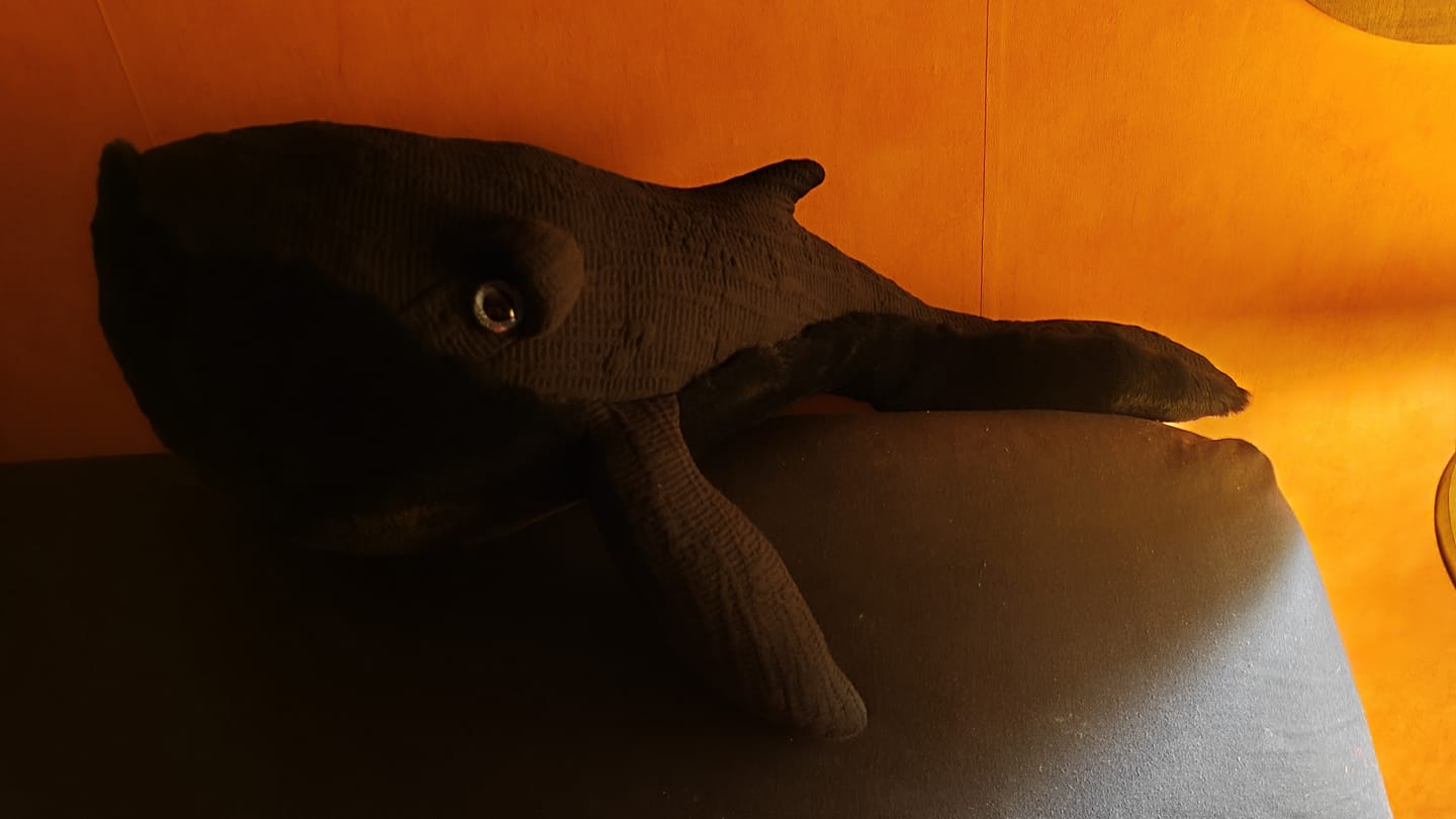 Customer photo review of The Whale