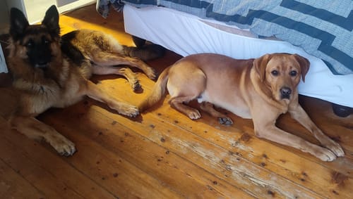 Customer photo review of OMEGA-3