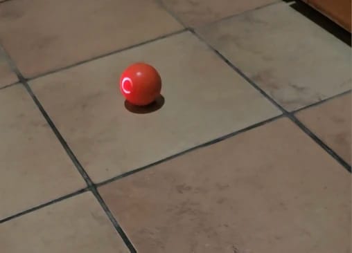 Customer photo review of Pelota Interactiva para Perros y Gatos – Movimiento Automático + Carga USB-C