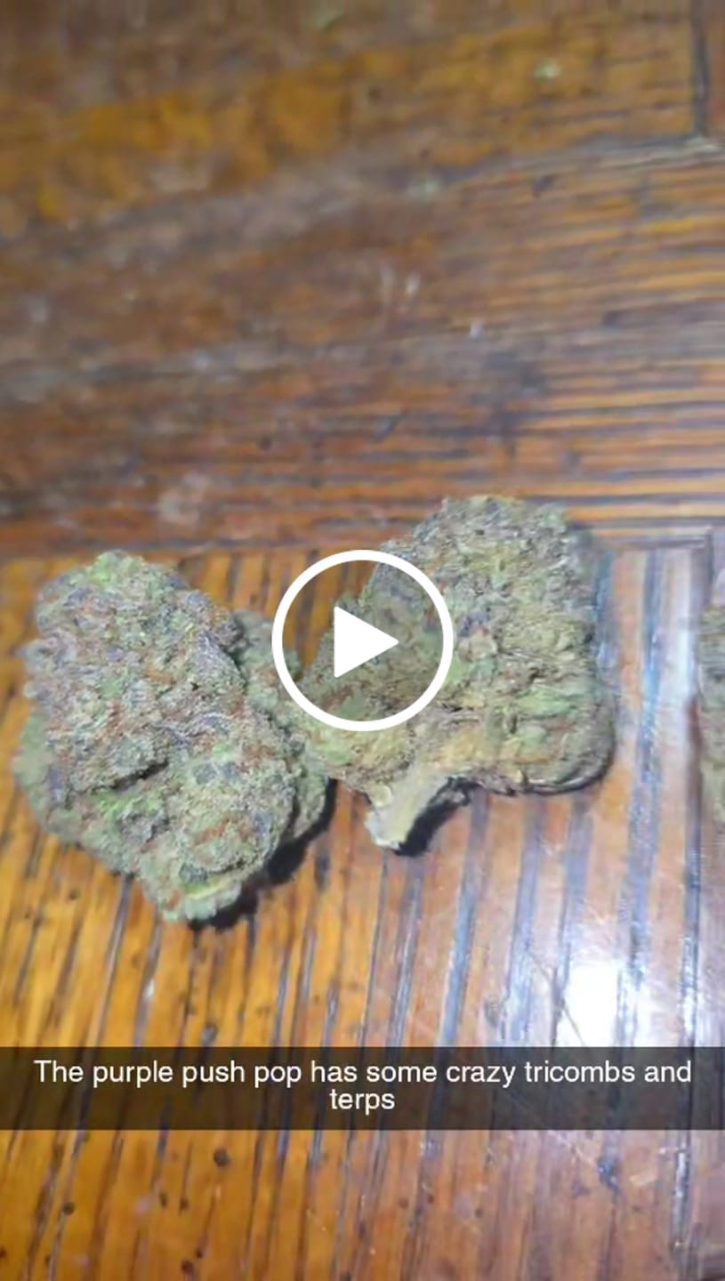 Customer video review of Purple Push Pop -THCa Flower
