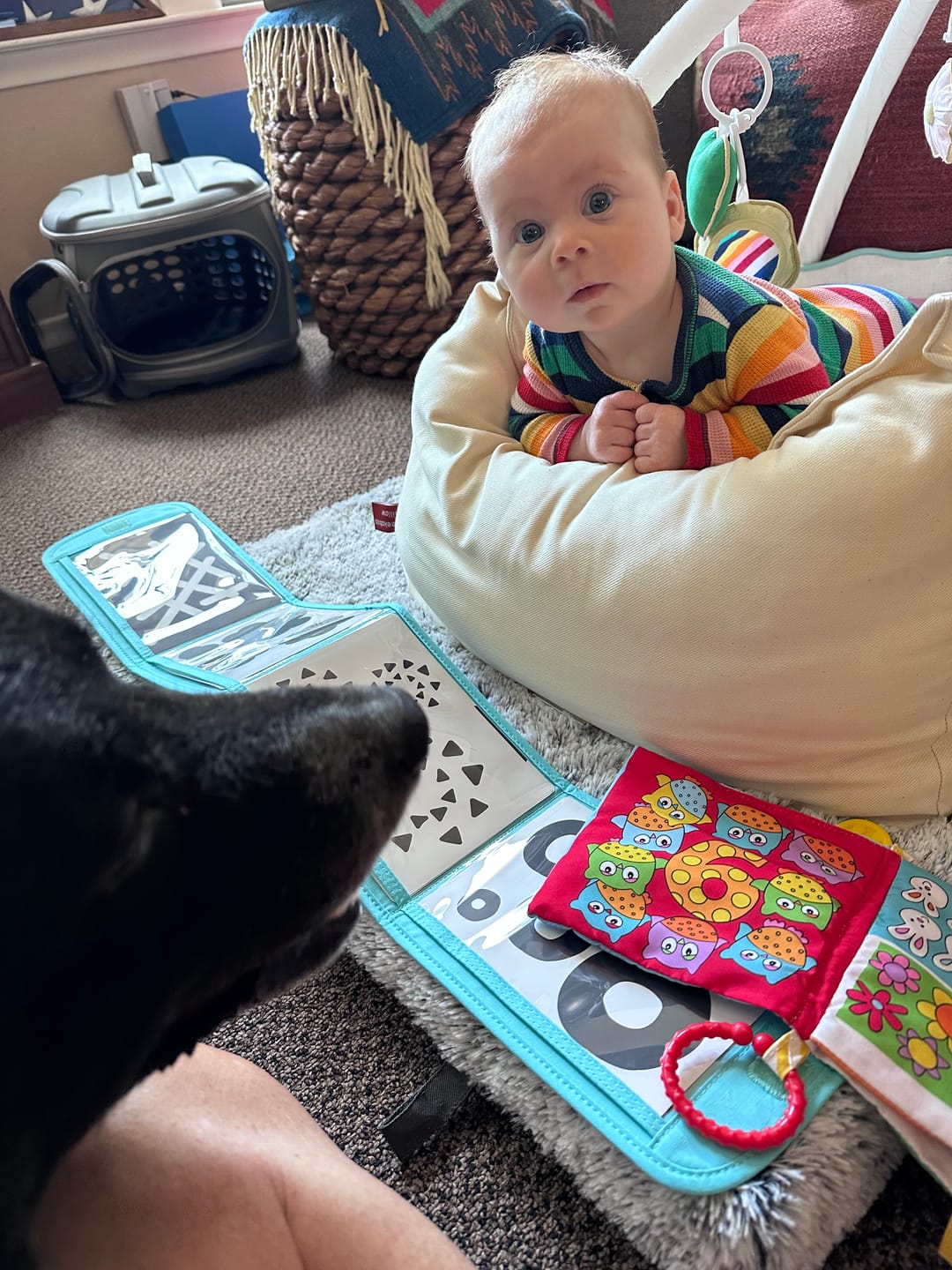 Customer photo review of Peekaboo Pillow | Original