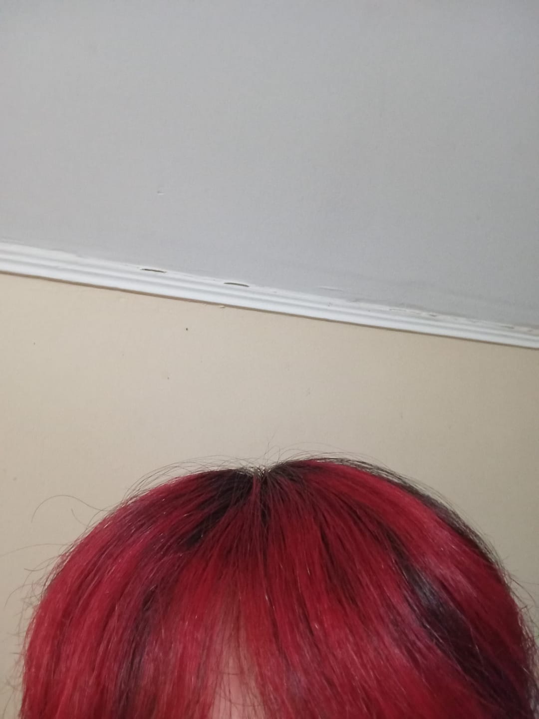 Customer photo review of Tintura Semipermanente Funky Colors 47gr Estereocolor
