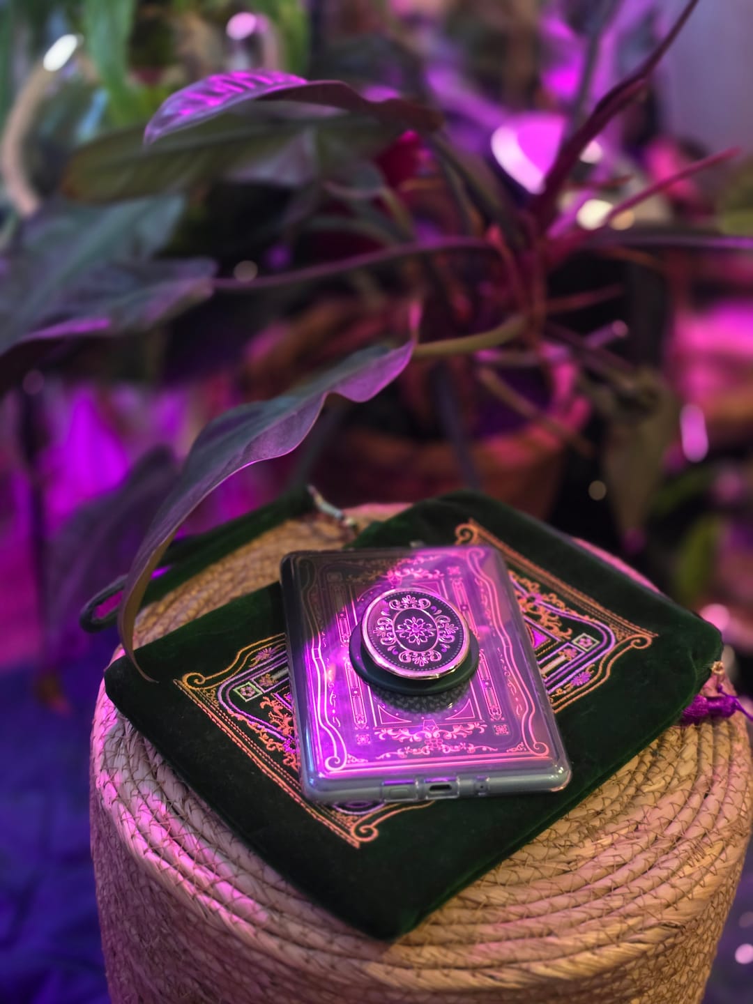 Customer photo review of Literati Clingie - Green