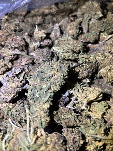 White Rhino - Bulk - Indica photo review