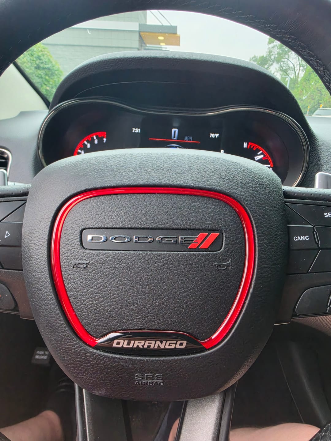 Customer photo review of "Durango" Steering Wheel Trim Ring