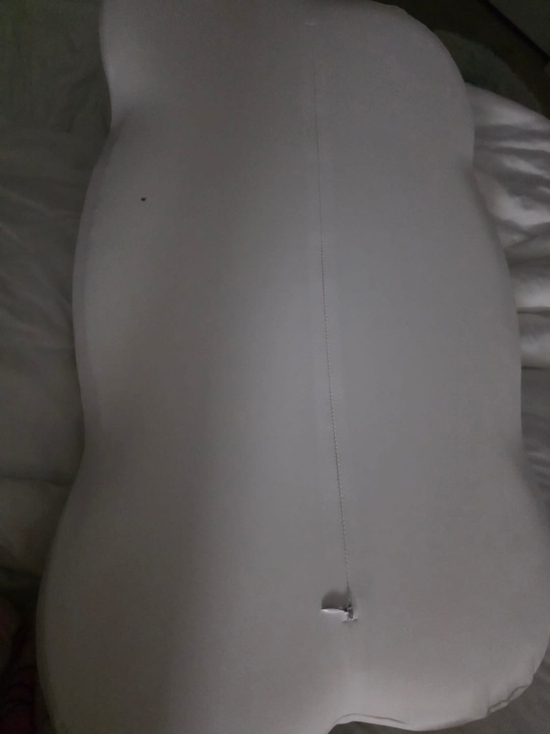 Customer photo review of CloudAlign™ Pillow