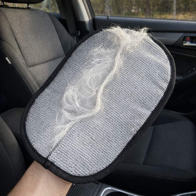 Customer photo review of Sausage Glove | Effortlessly Remove Dachshund Hair