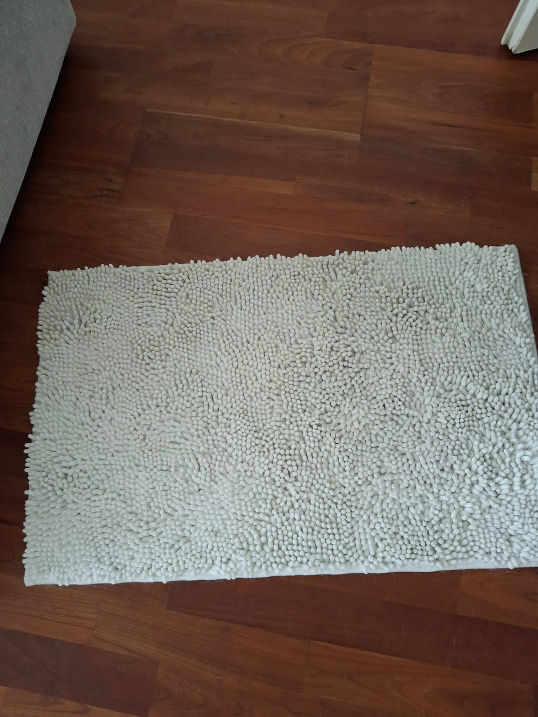 Customer photo review of CleanPaw - Honden Deurmat Absorberend Antislip