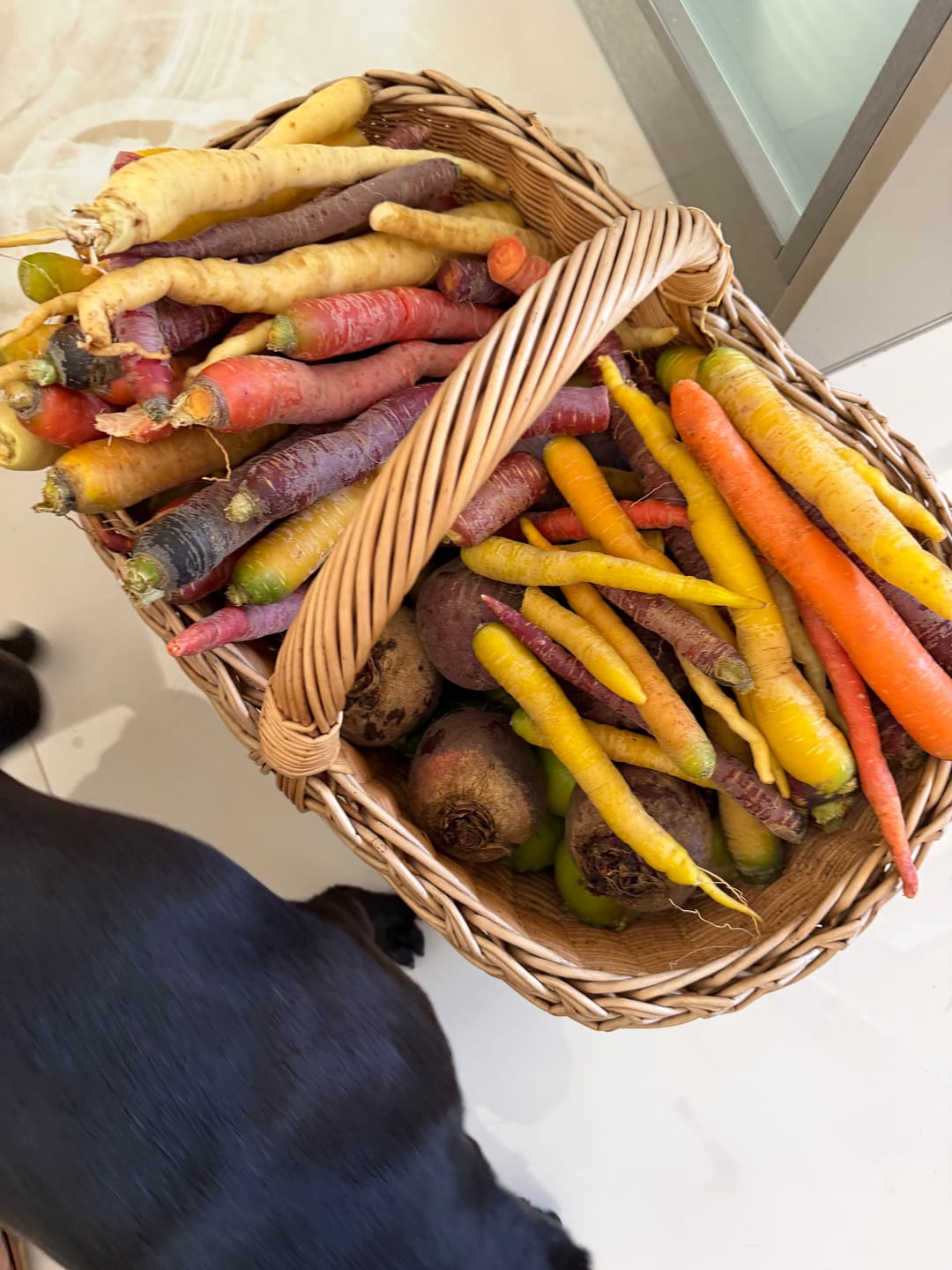 Customer photo review of Karotten bunt Bio Naturland regional