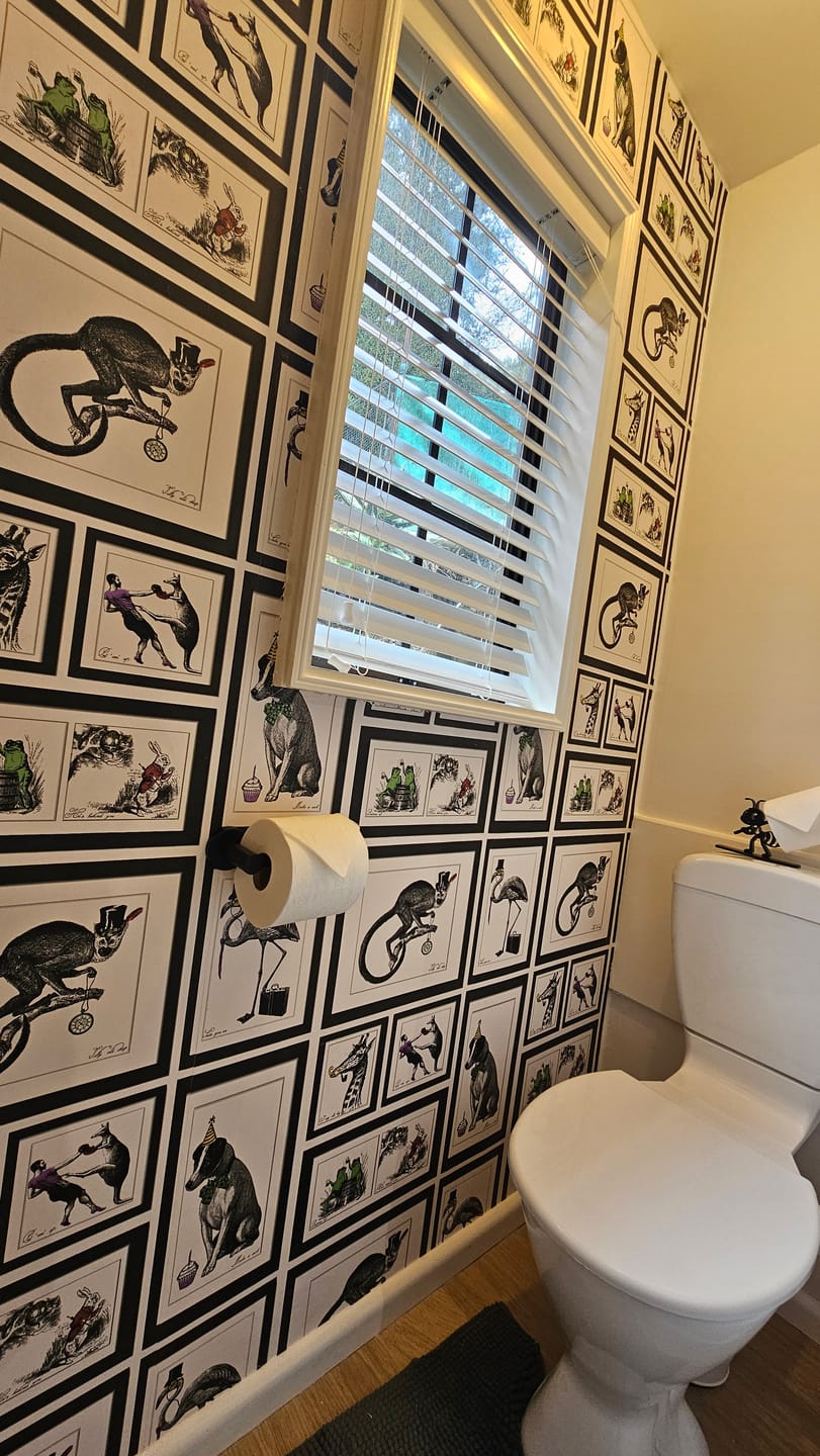 Customer photo review of Mad Dogs Wallpaper