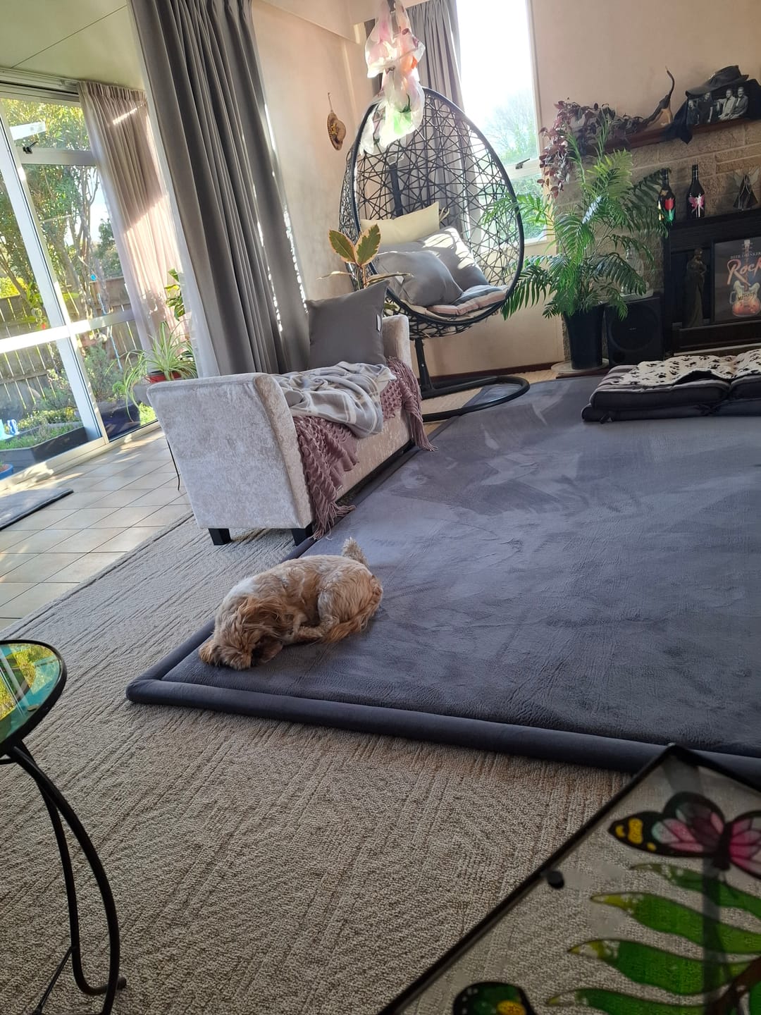 Customer photo review of Relax Mat - Soft Touch Tatami Mat