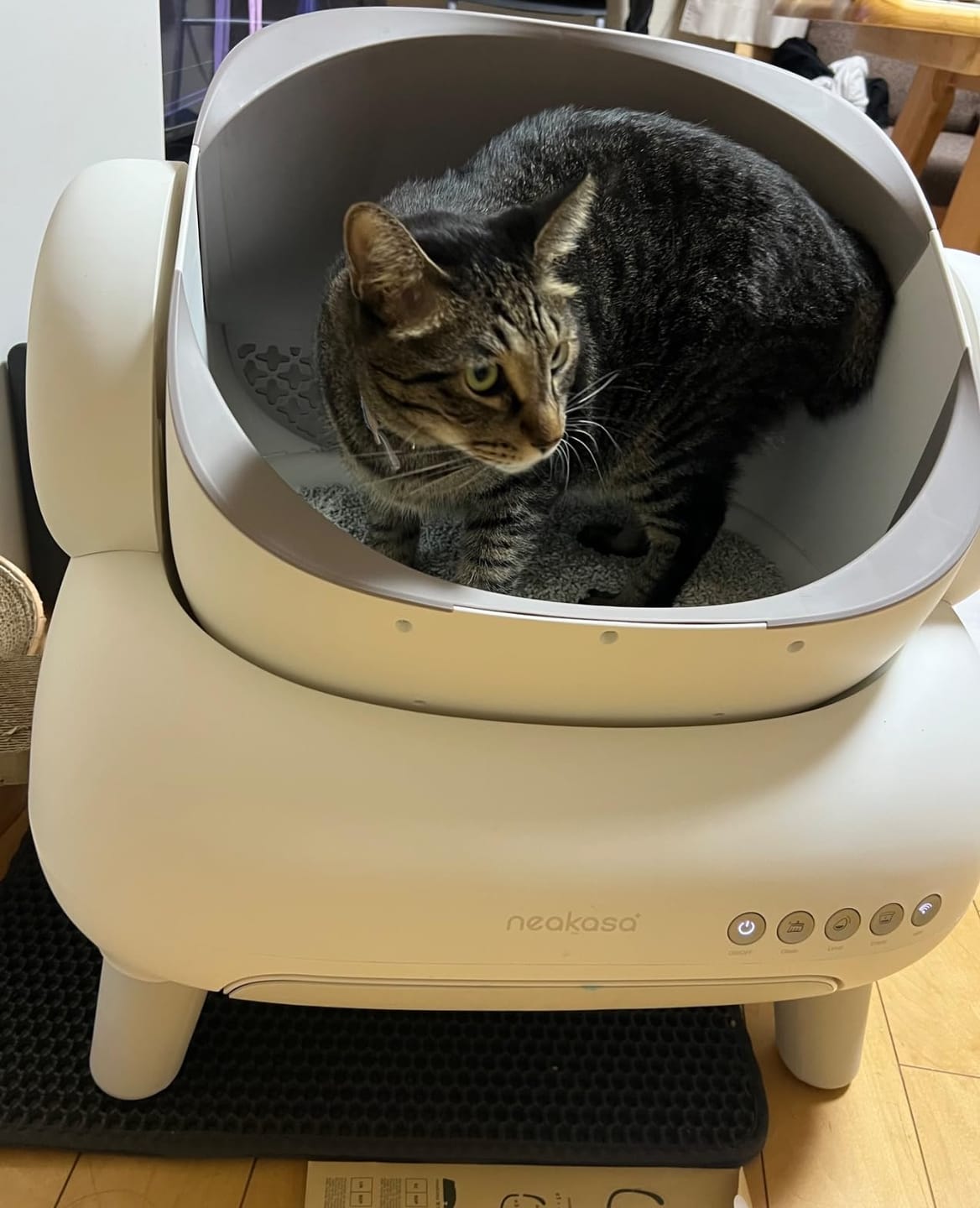 Customer photo review of Neakasa M1 Plus オープン型全自動猫トイレ