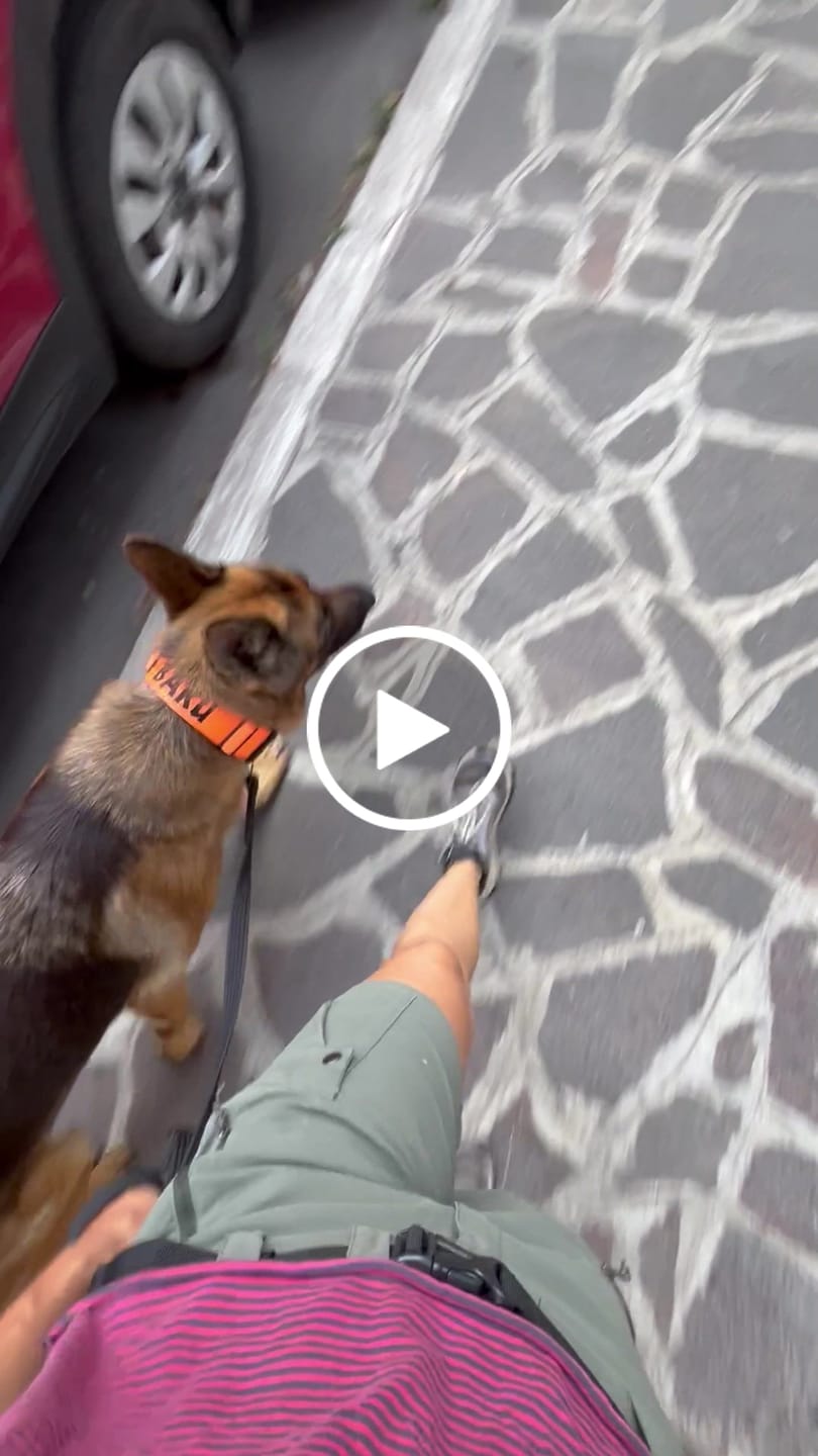 Customer video review of Collare Crime 5cm