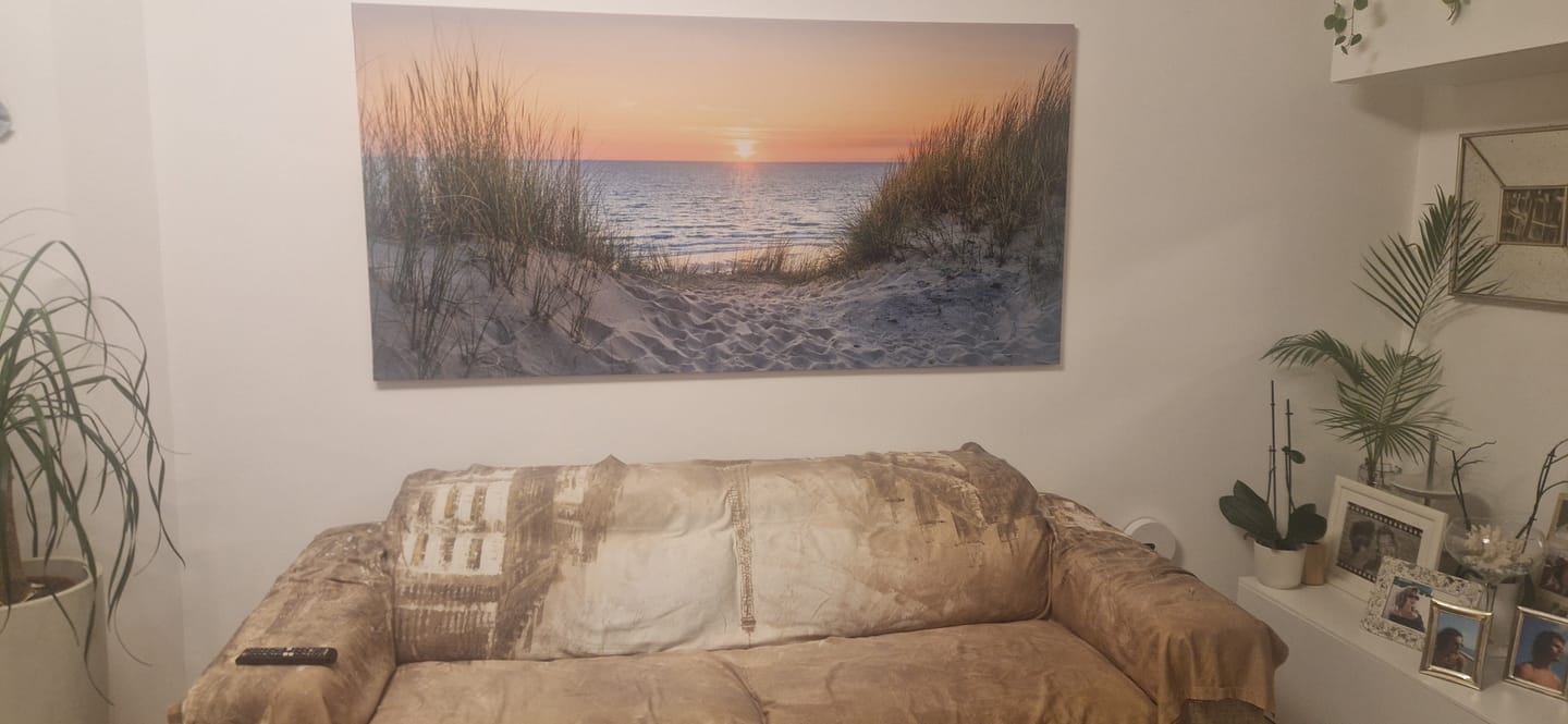 Customer photo review of Shipping Protection
